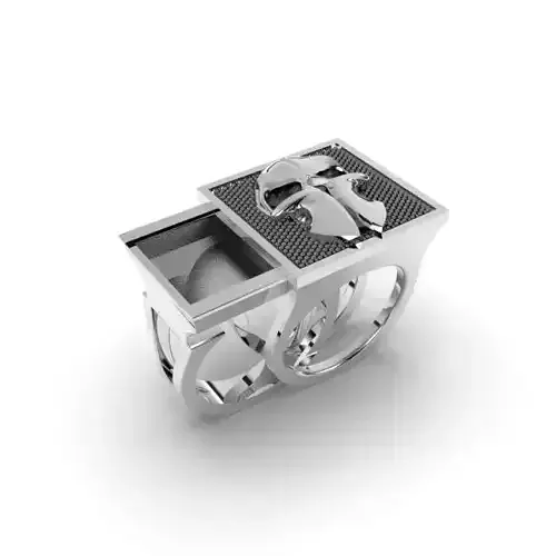 SECRET RING SKULL - JEWELRY 3D - AN-604