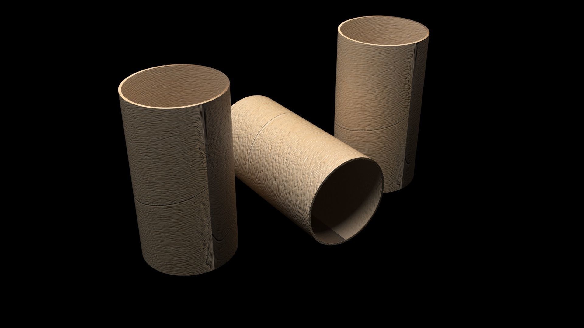 Empty Toilet Paper Tubes 3D model_6