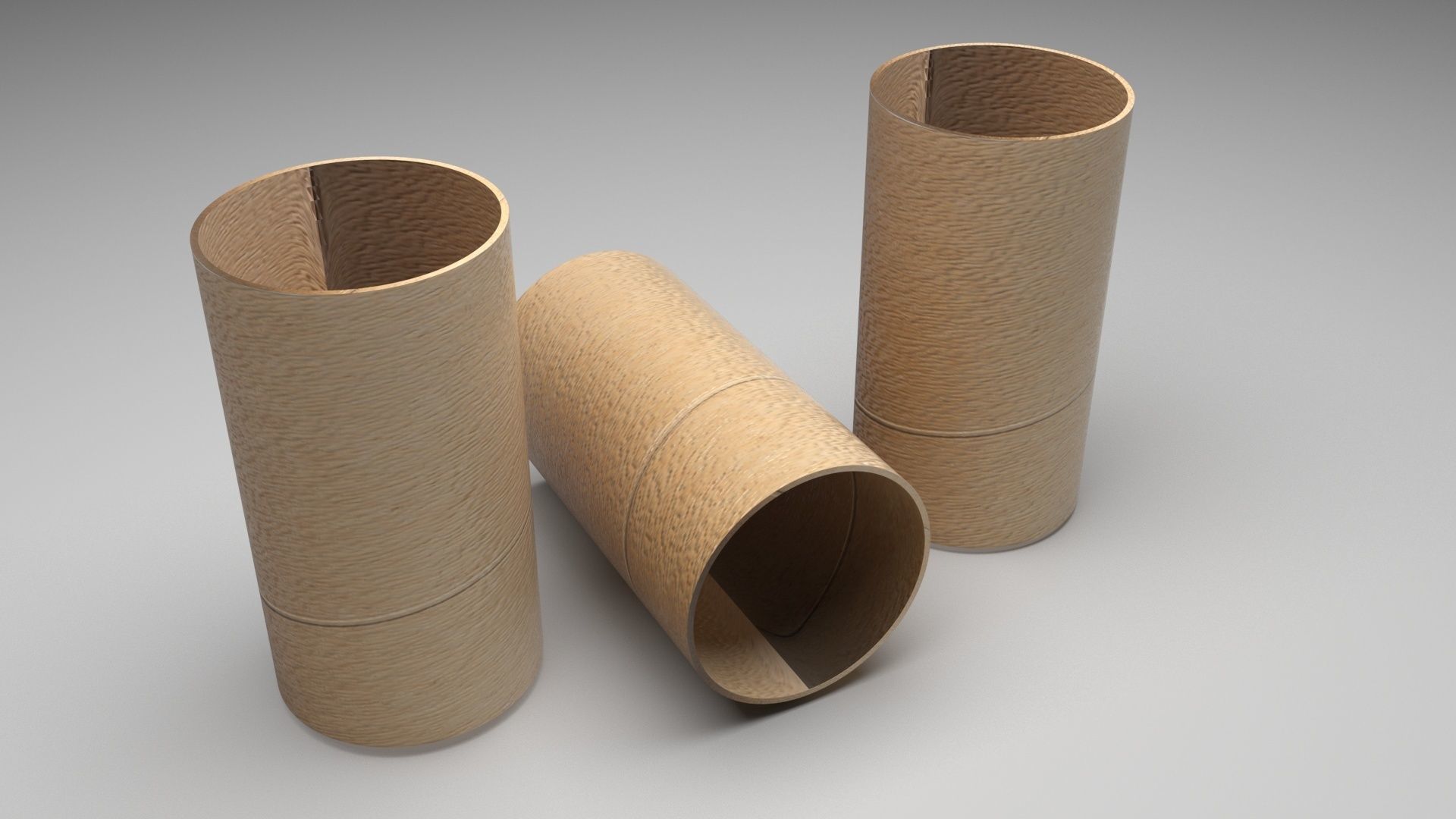 Empty Toilet Paper Tubes 3D model_2