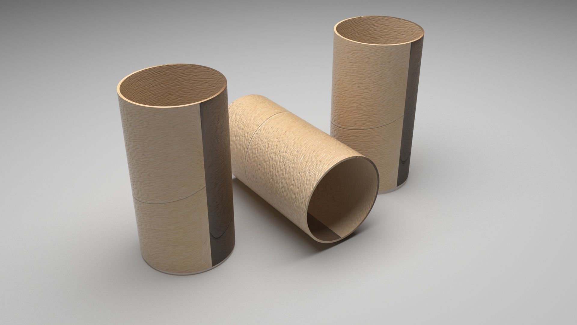 Empty Toilet Paper Tubes 3D model_4
