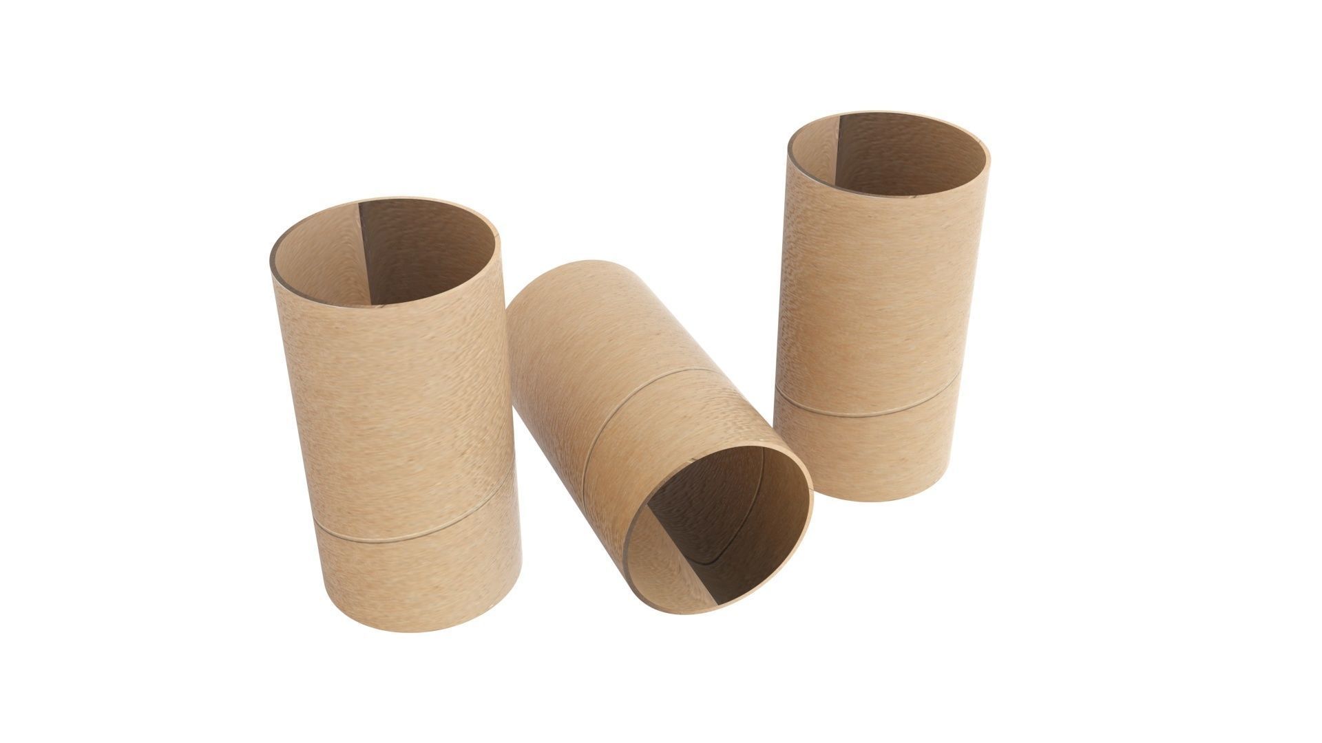 Empty Toilet Paper Tubes 3D model_9
