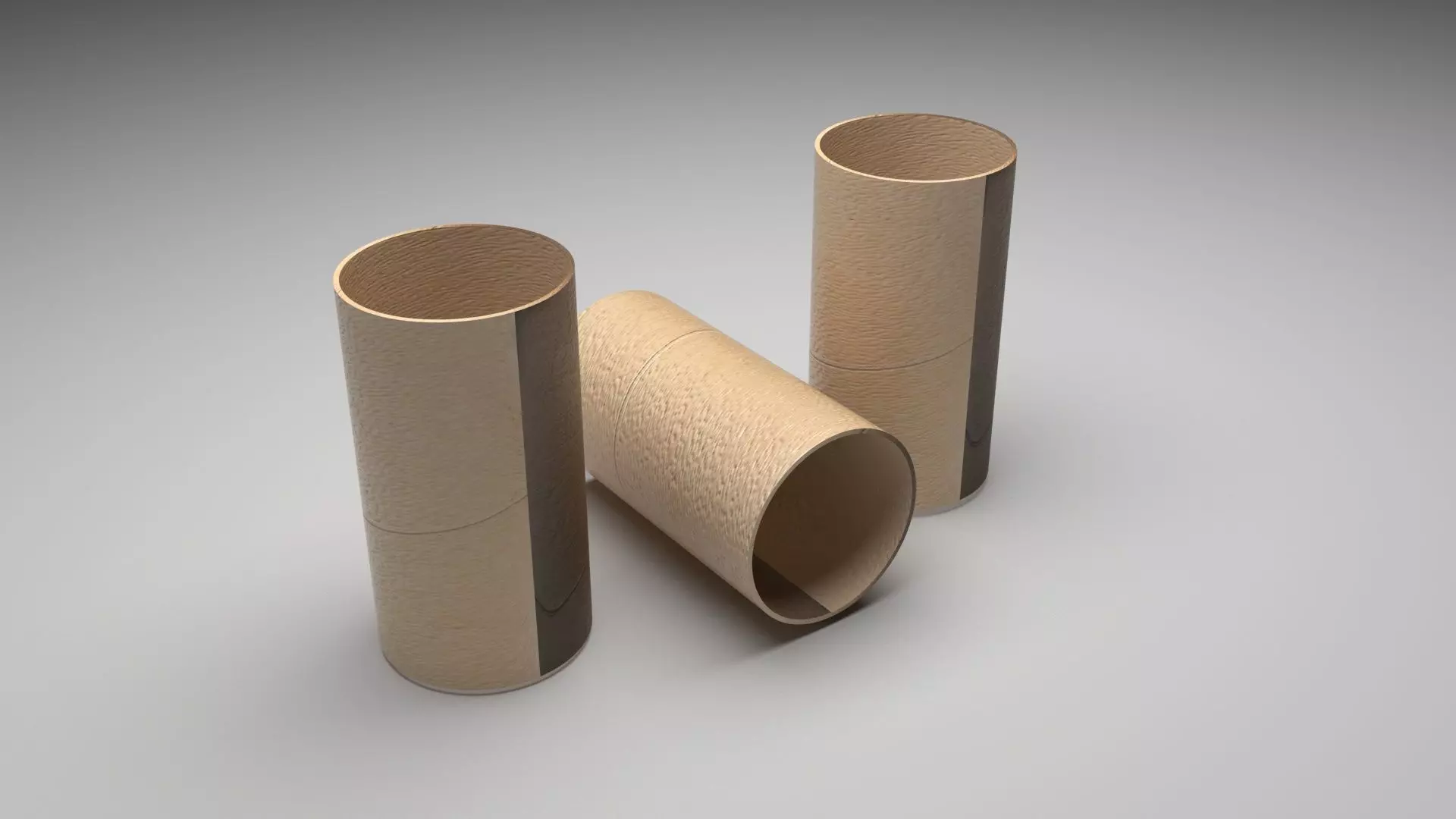 Empty Toilet Paper Tubes 3D model_0