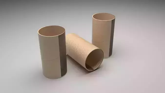 Empty Toilet Paper Tubes 3D model