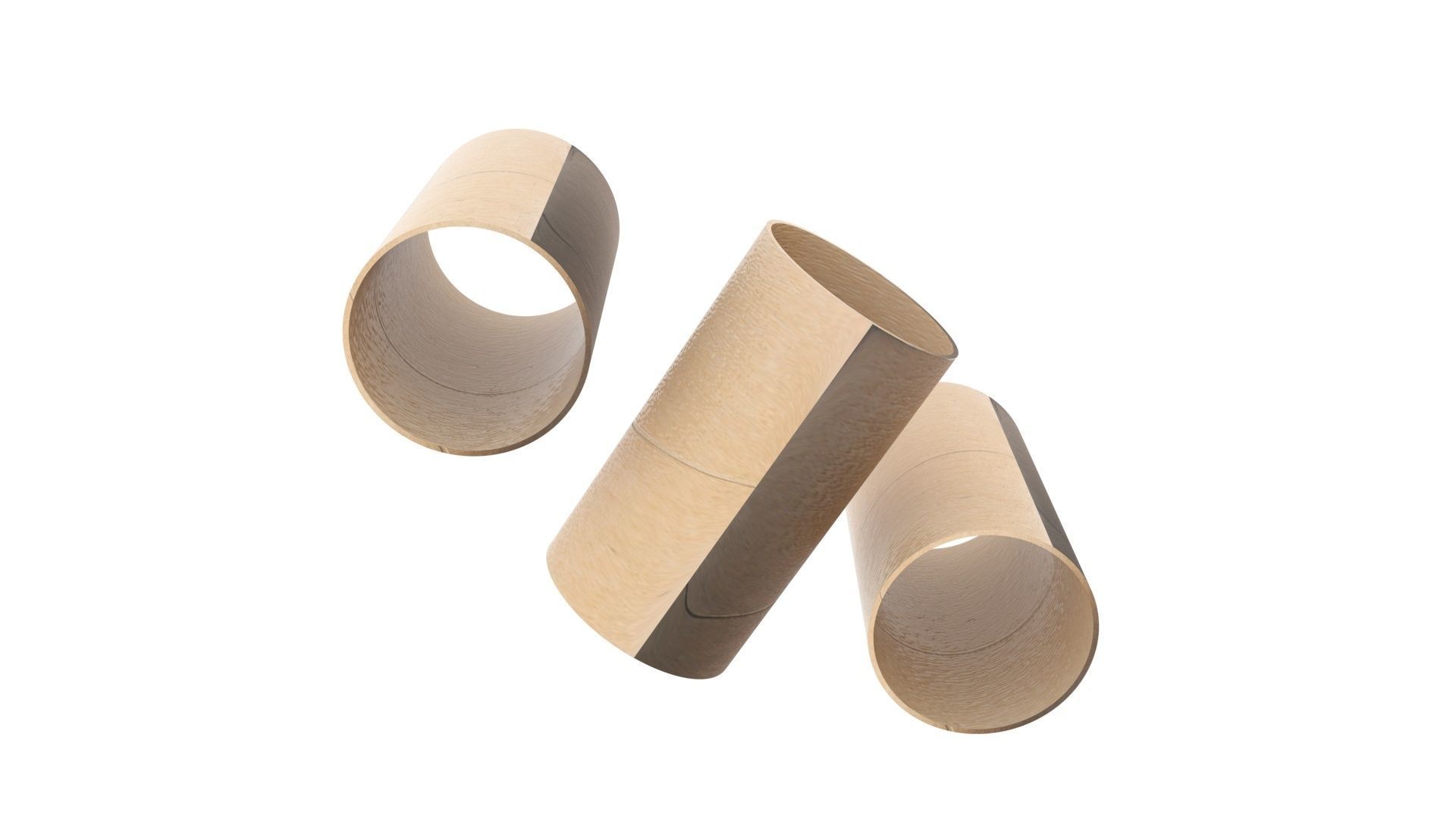 Empty Toilet Paper Tubes 3D model_11