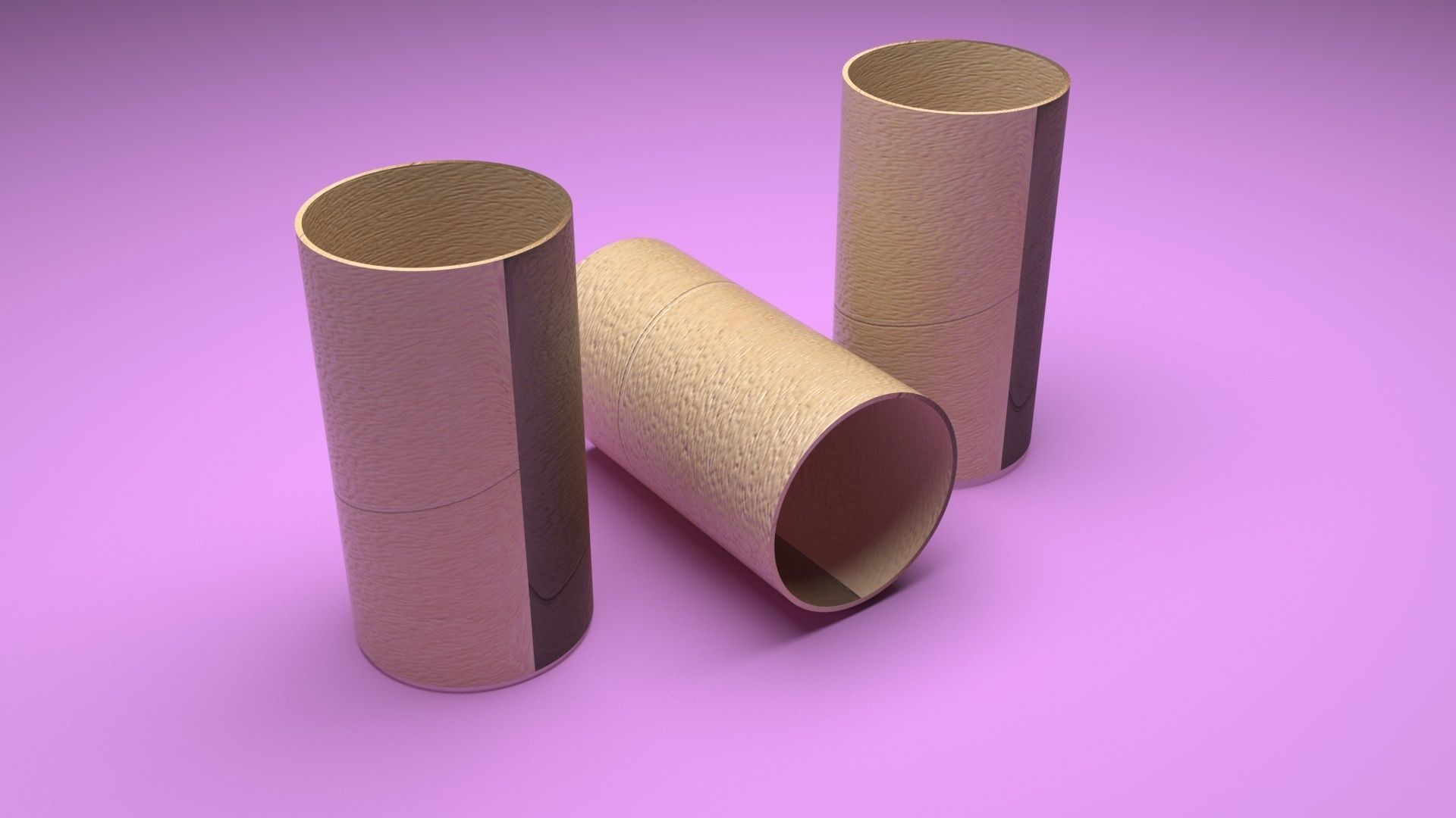 Empty Toilet Paper Tubes 3D model_5