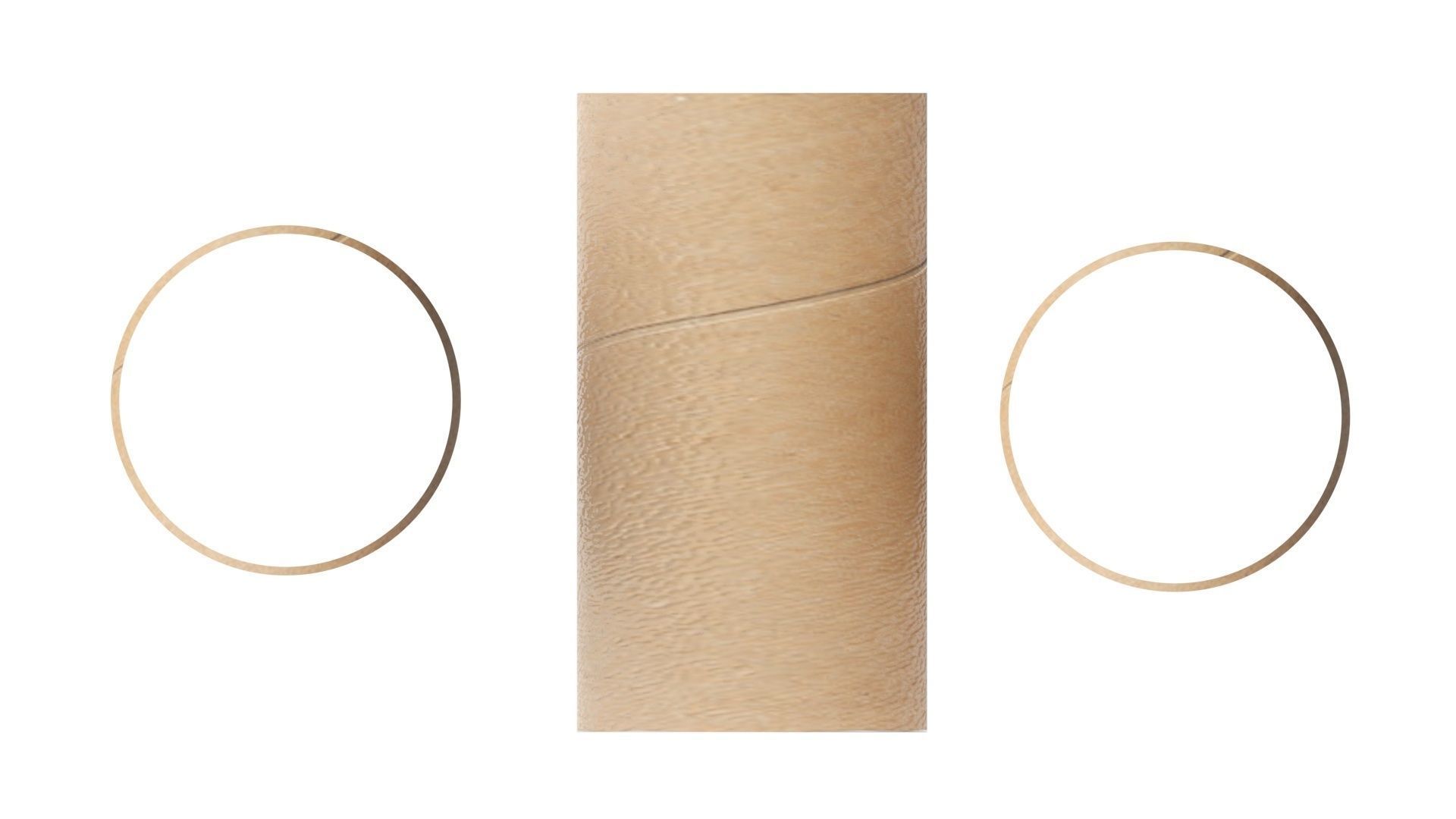 Empty Toilet Paper Tubes 3D model_13