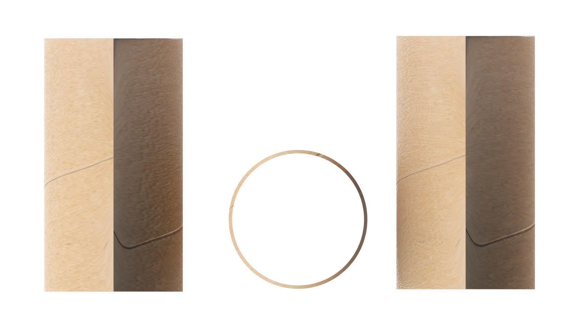 Empty Toilet Paper Tubes 3D model_12