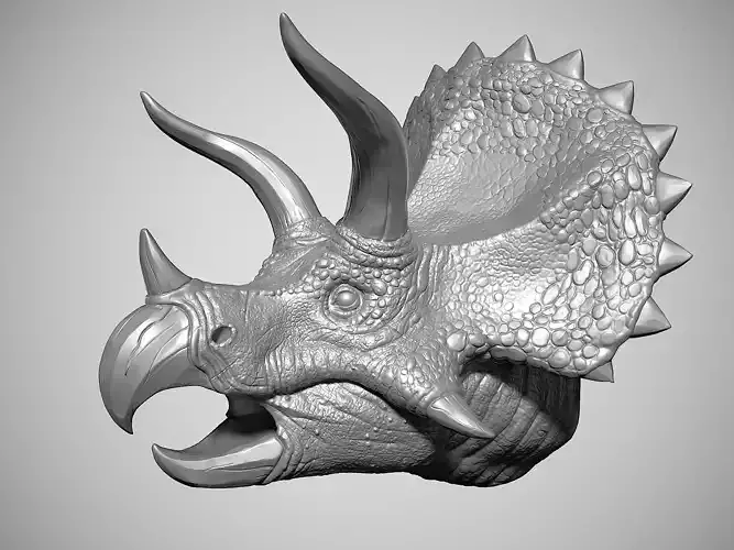 Triceratops Head  3D print model