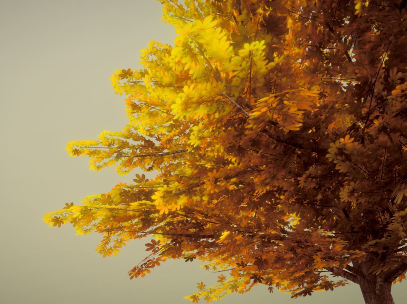 European Horse Chestnut Autumn 21m  Low-poly 3D model_8