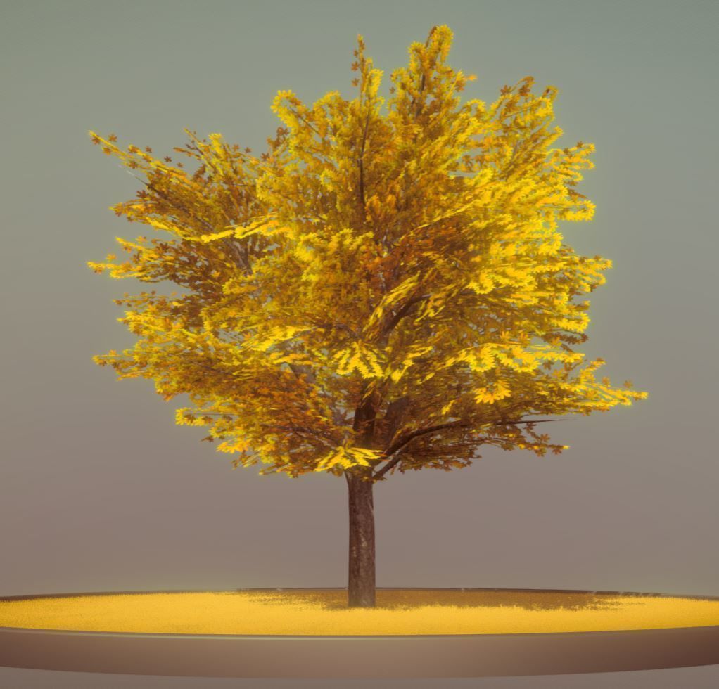 European Horse Chestnut Autumn 21m  Low-poly 3D model_4