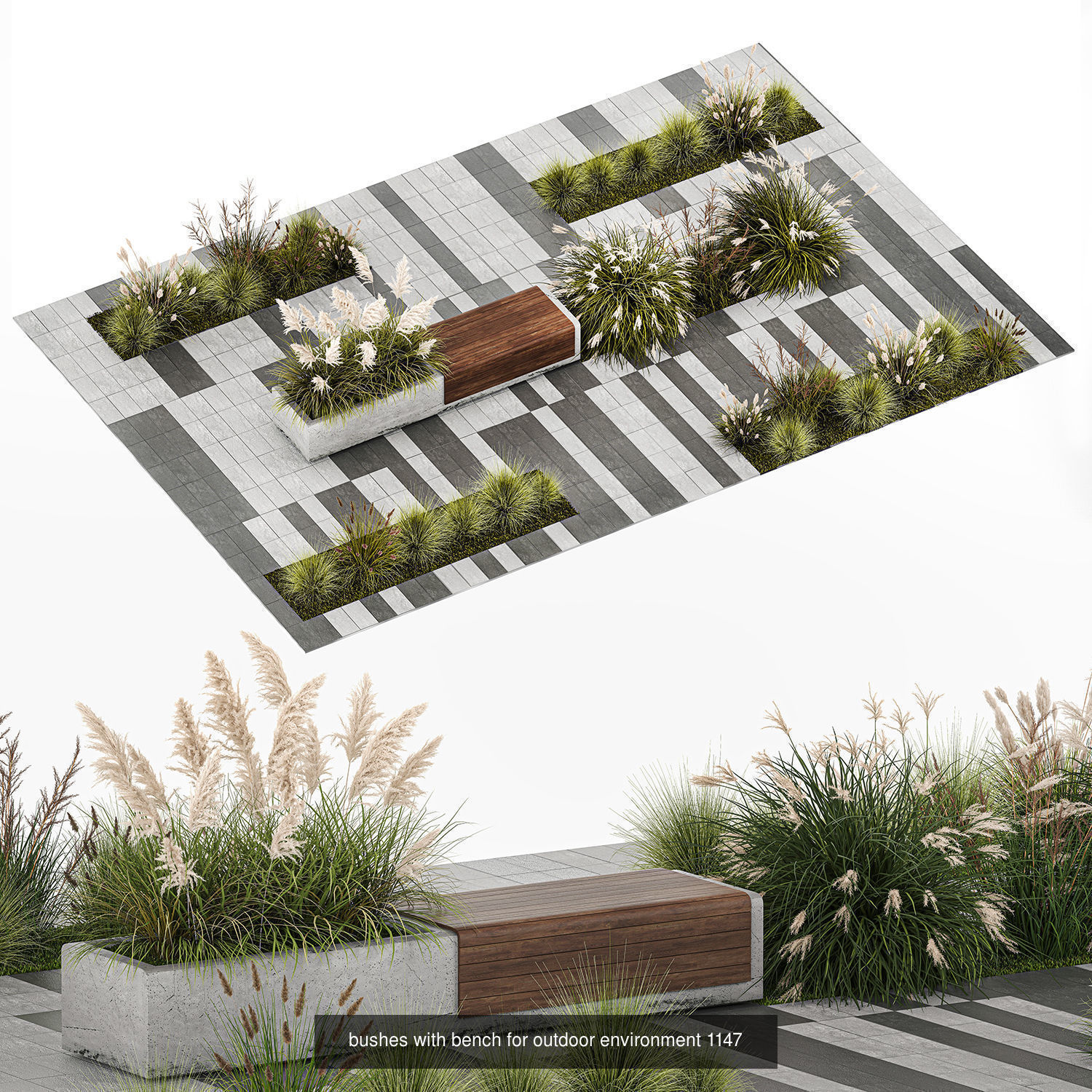 Collection of plants and trees for landscape design square parks _2