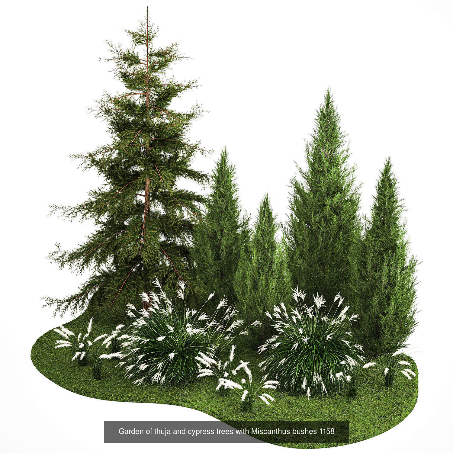 Collection of plants and trees for landscape design square parks _9