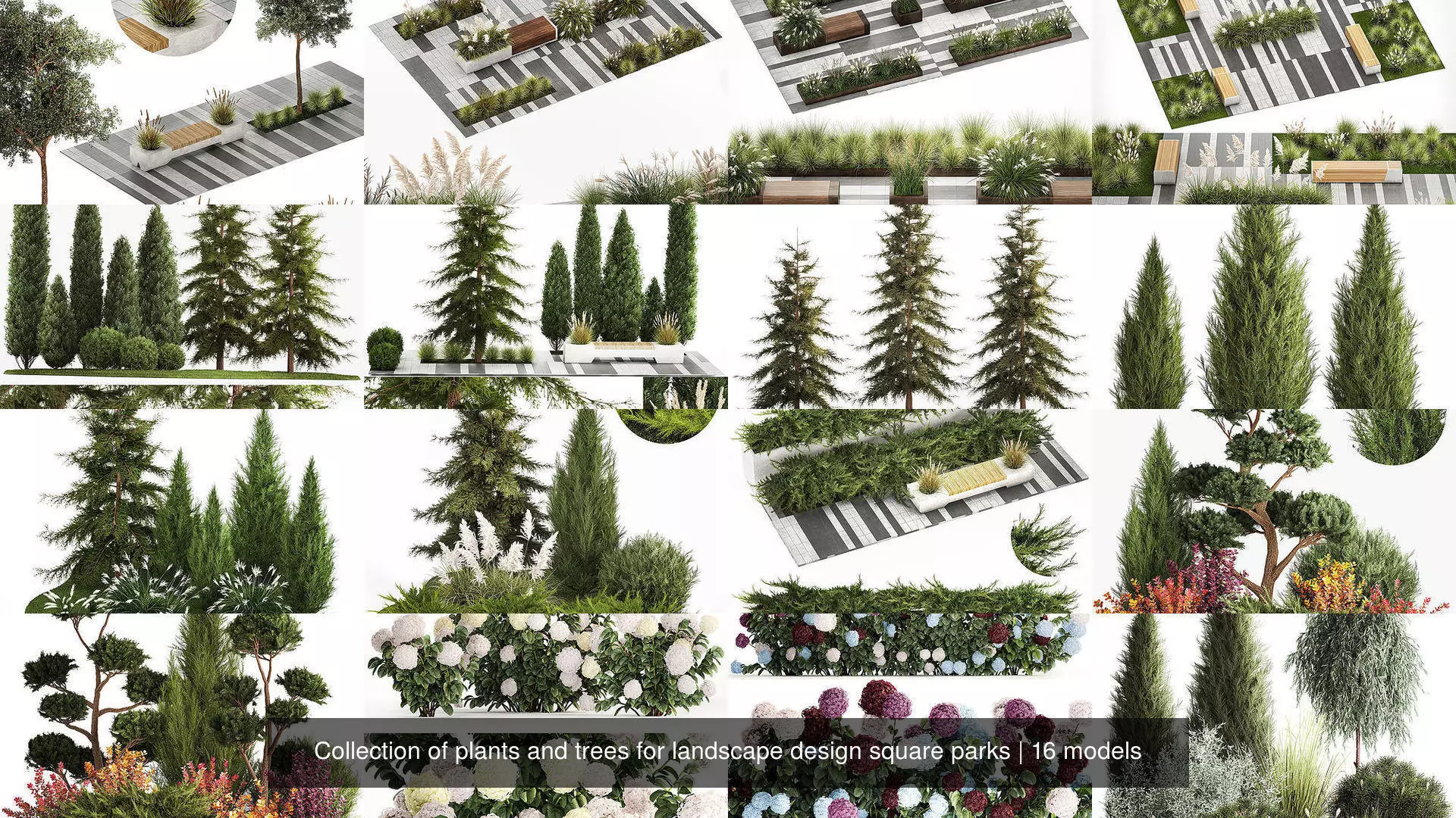 Collection of plants and trees for landscape design square parks _0