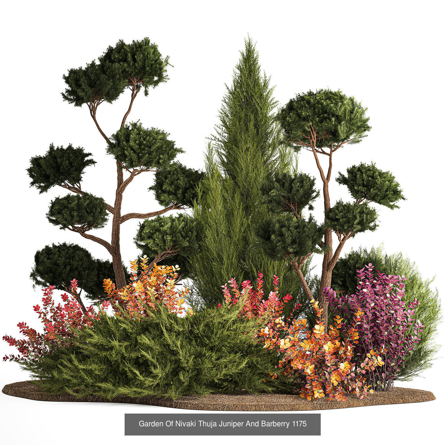 Collection of plants and trees for landscape design square parks _13