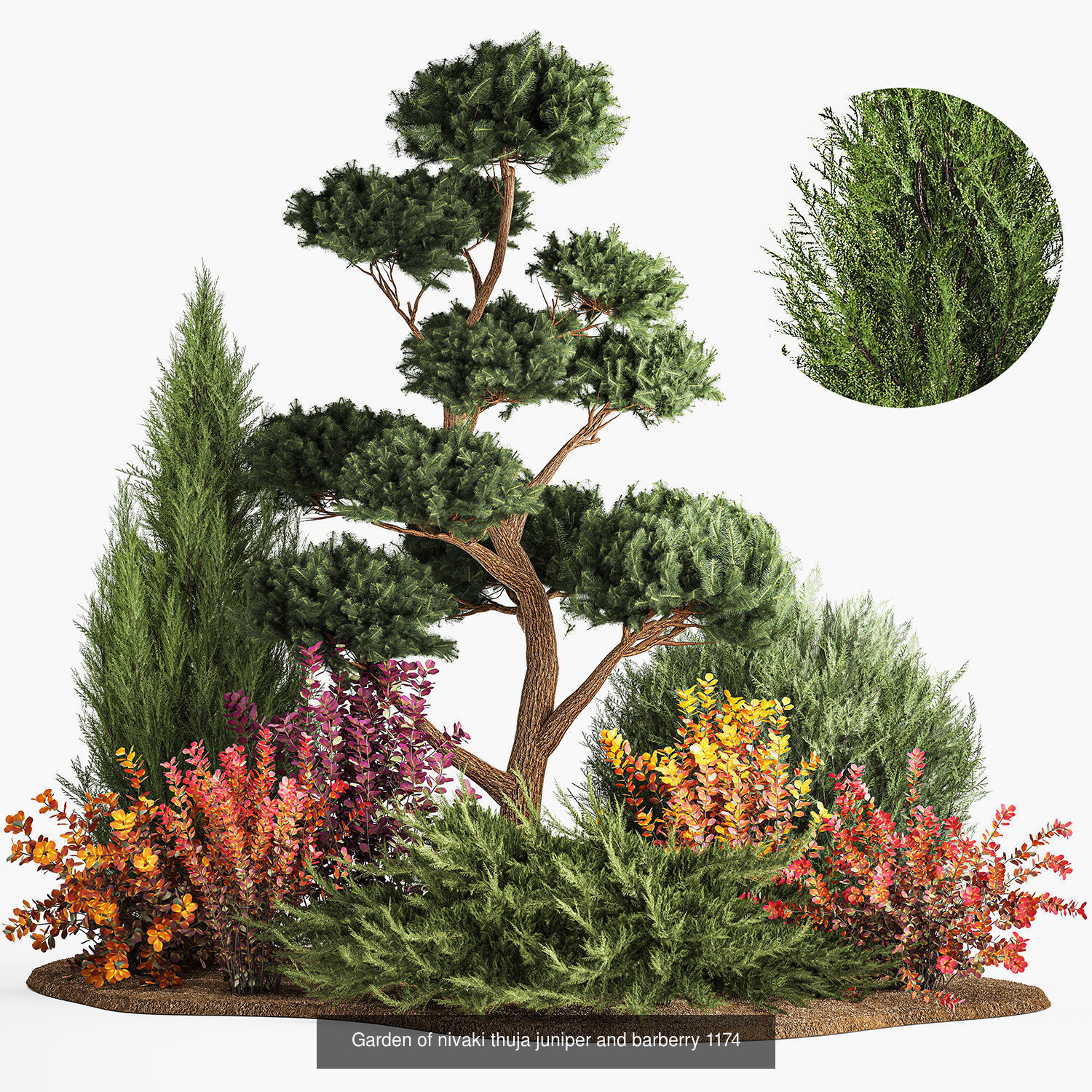 Collection of plants and trees for landscape design square parks _12