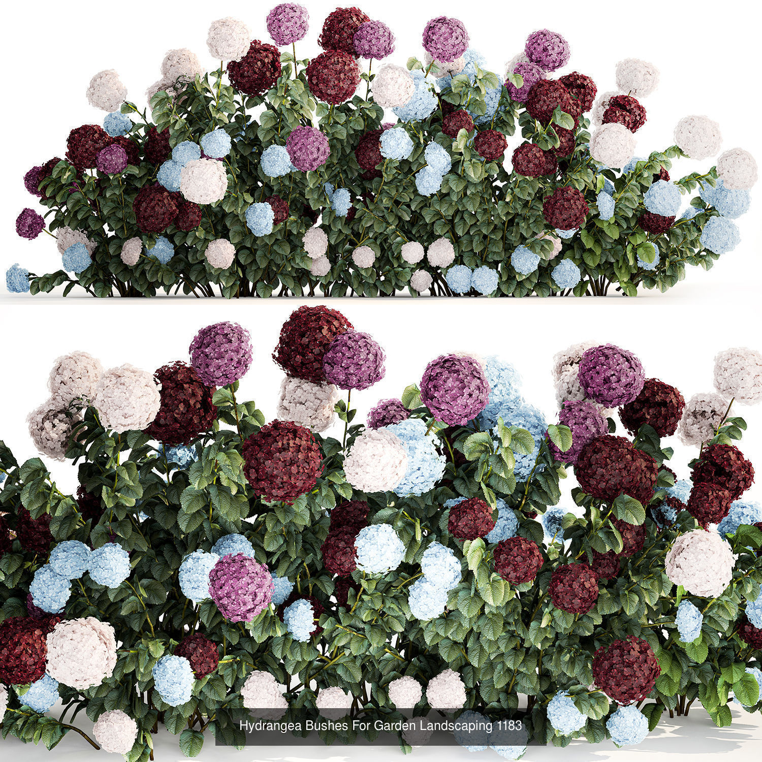 Collection of plants and trees for landscape design square parks _15