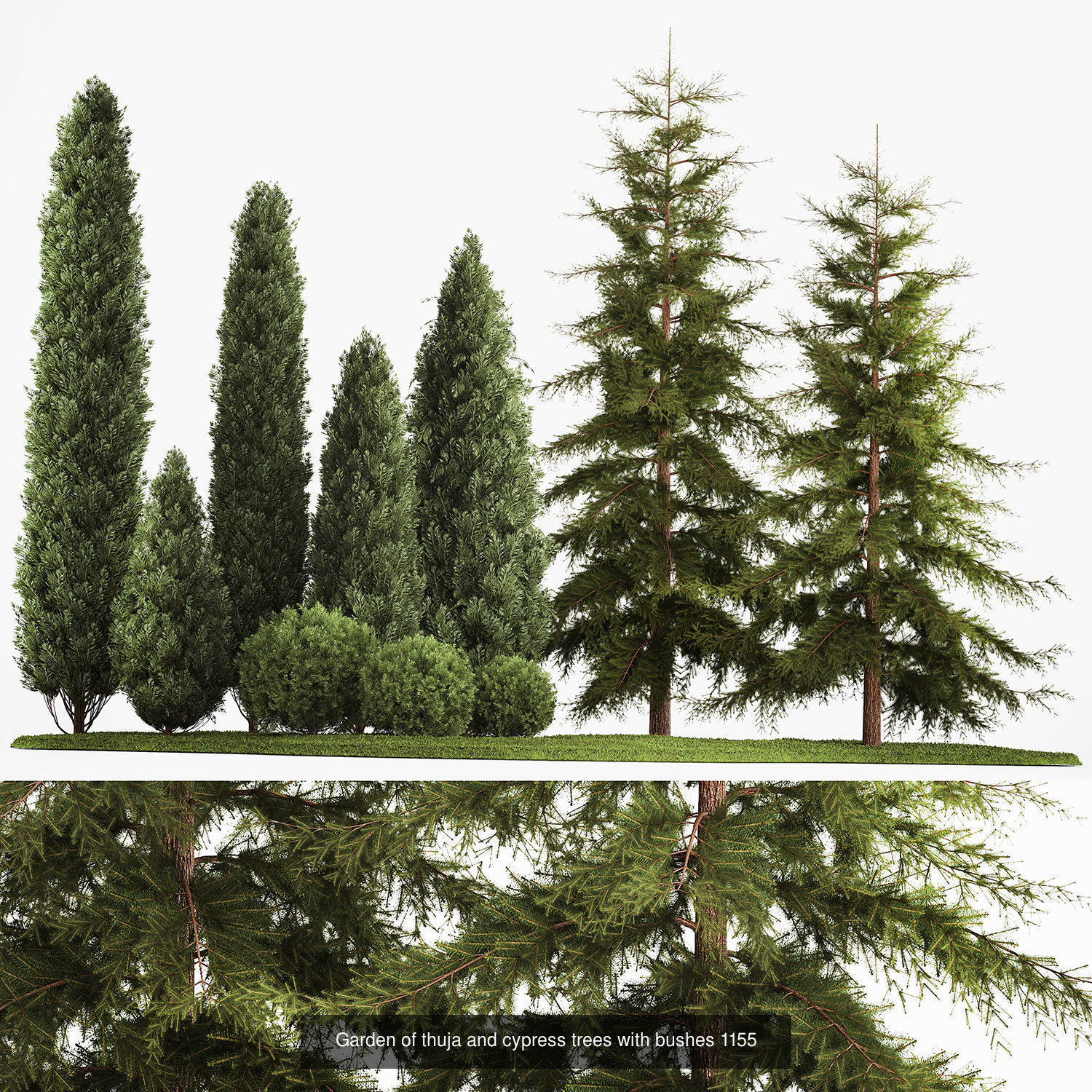 Collection of plants and trees for landscape design square parks _5