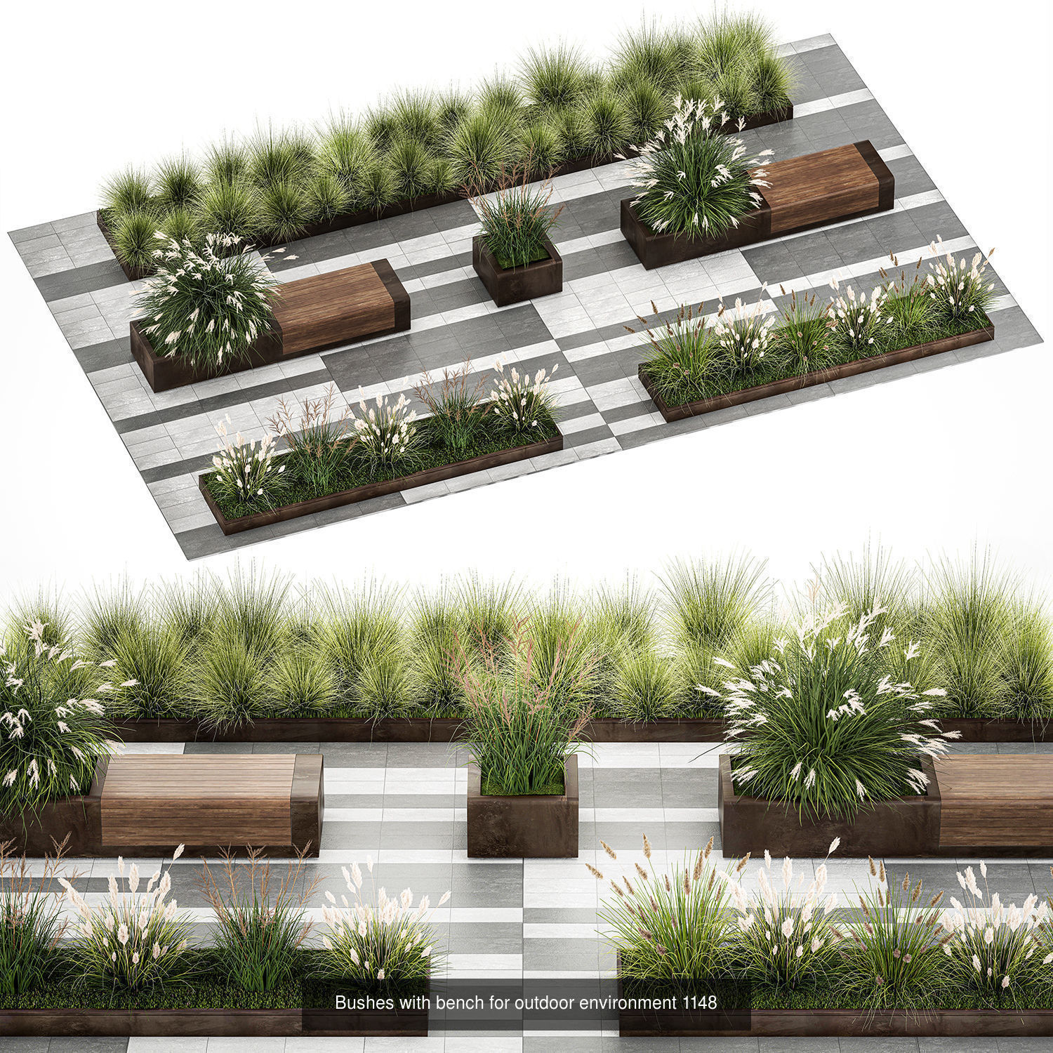 Collection of plants and trees for landscape design square parks _3