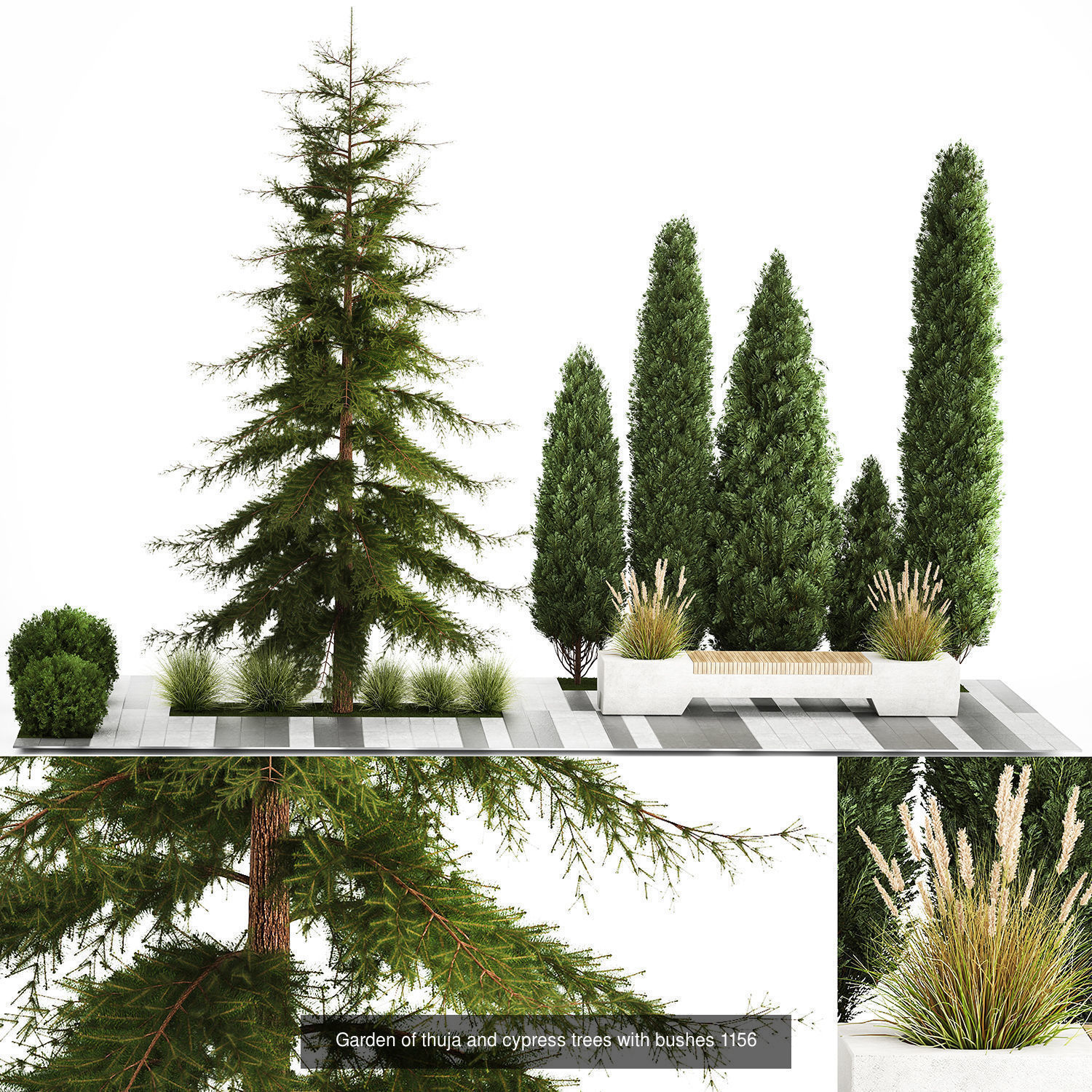Collection of plants and trees for landscape design square parks _6