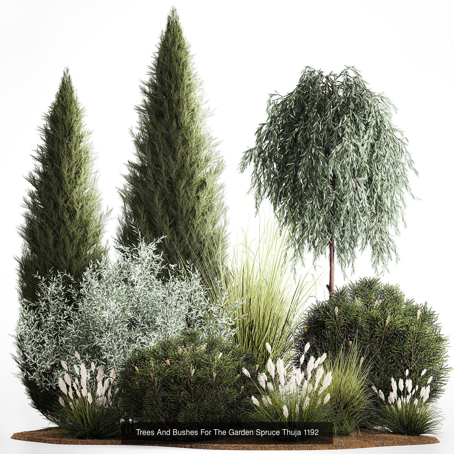 Collection of plants and trees for landscape design square parks _16