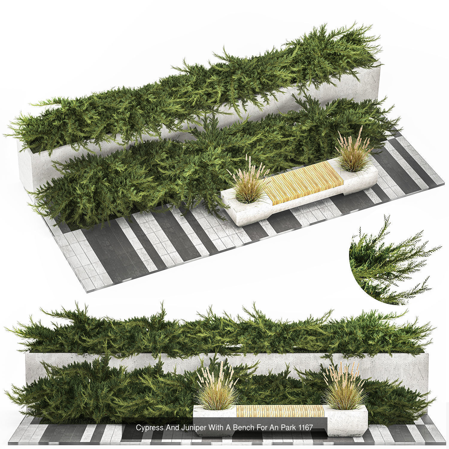 Collection of plants and trees for landscape design square parks _11