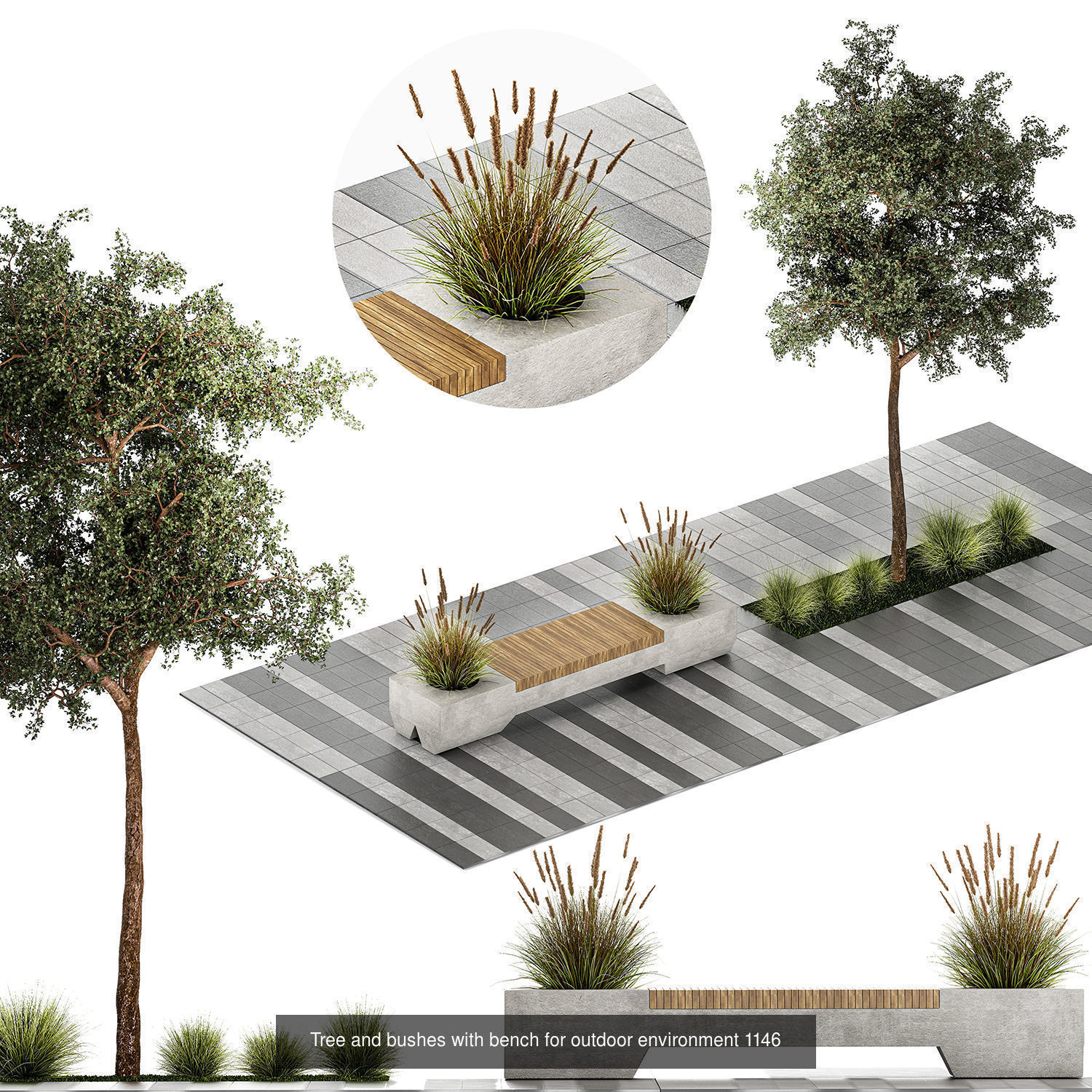 Collection of plants and trees for landscape design square parks _1