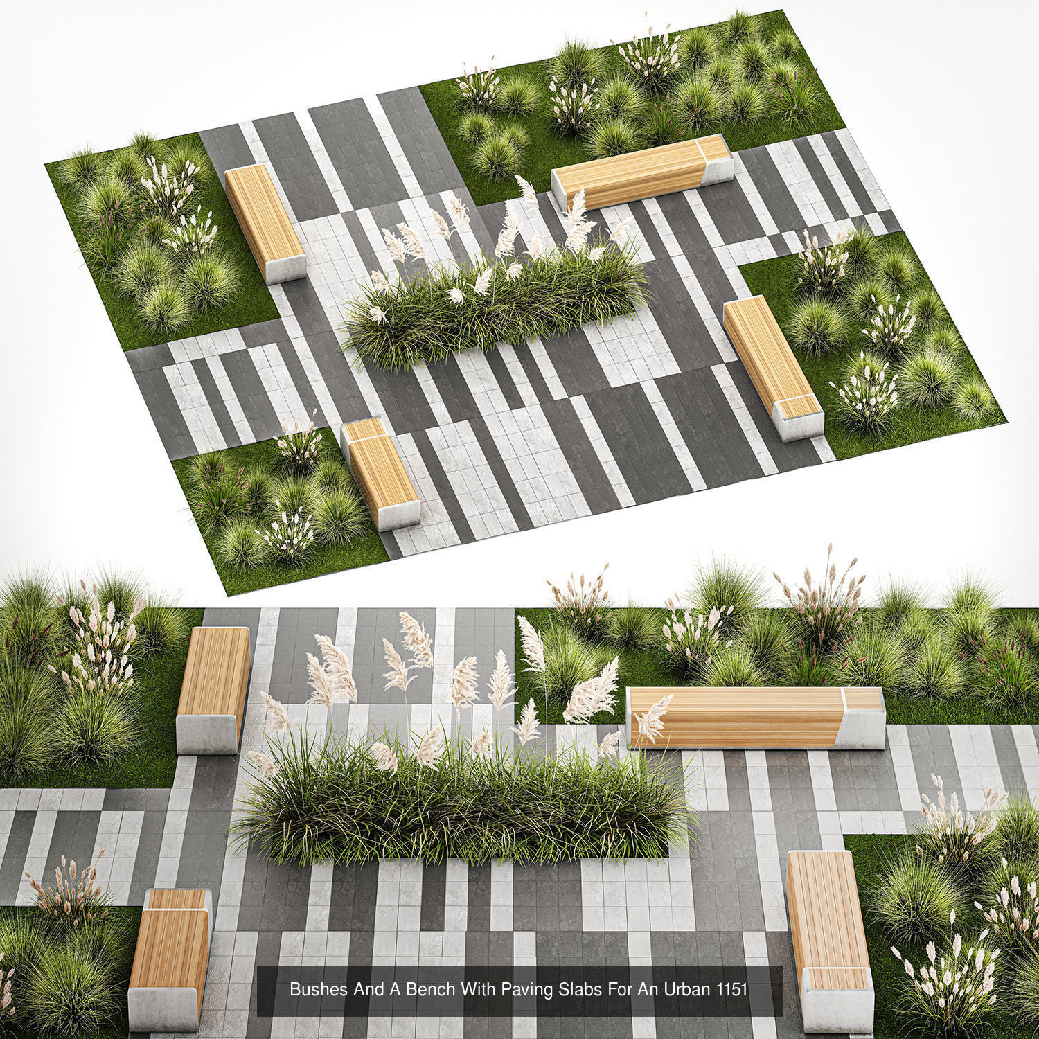 Collection of plants and trees for landscape design square parks _4