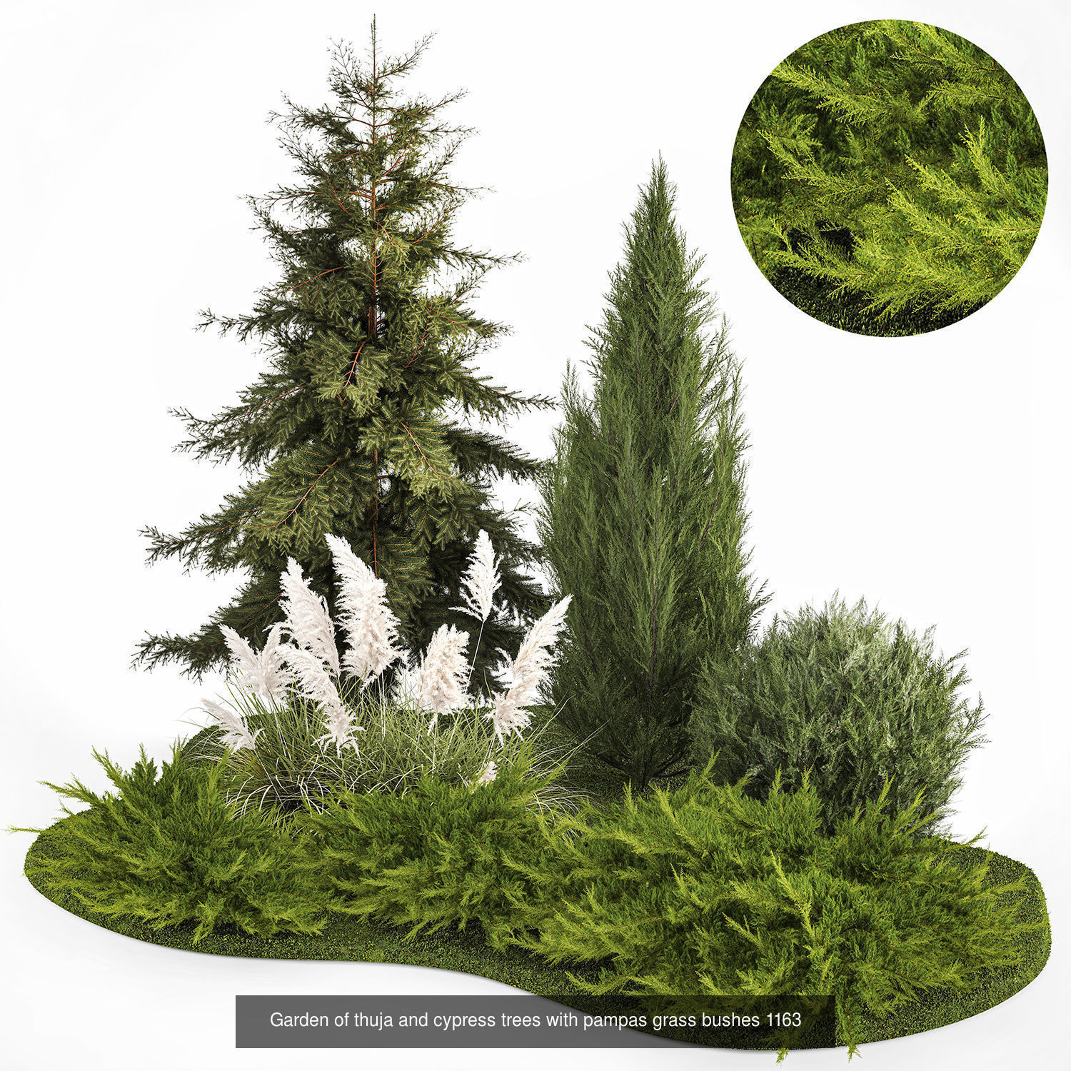 Collection of plants and trees for landscape design square parks _10