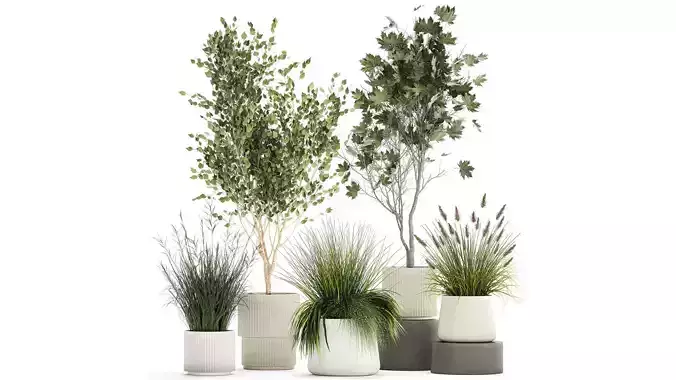 Beautiful bushes trees and grass in a flower pot for decoration 