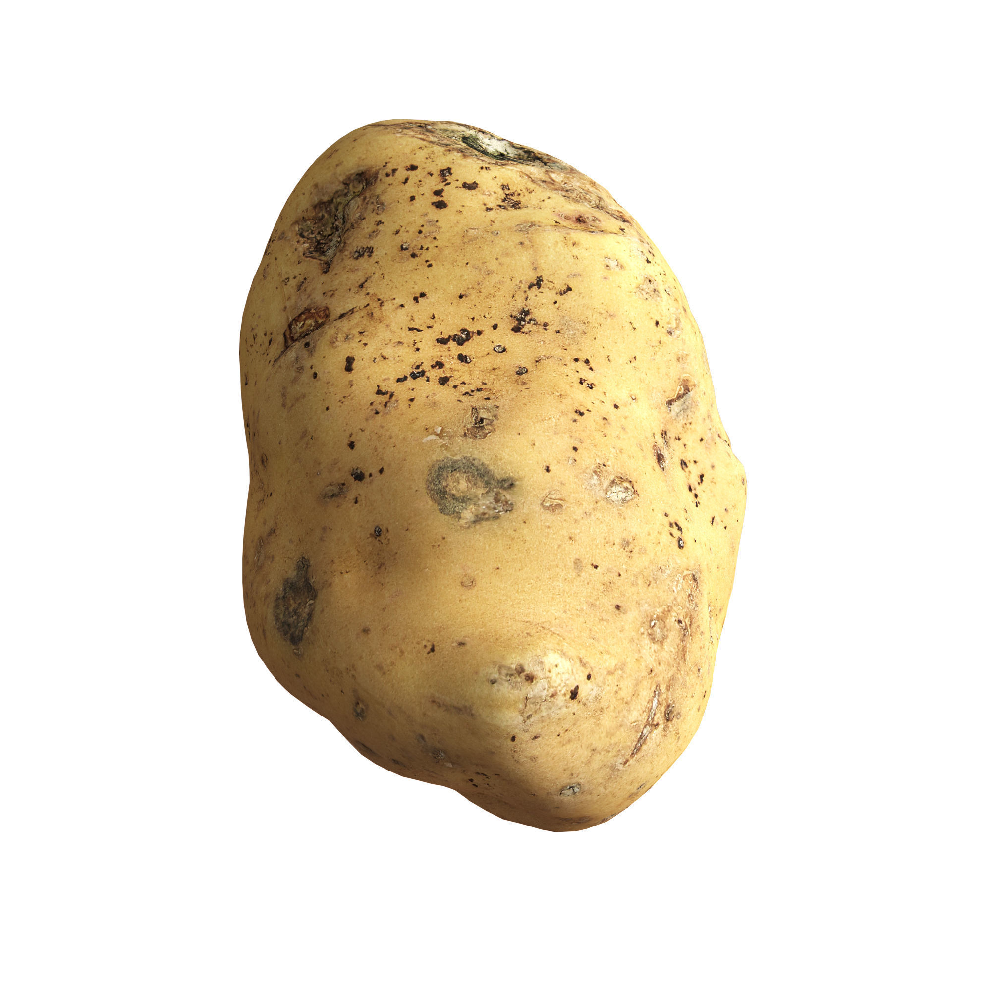 Potato 01 Low-poly 3D model_2