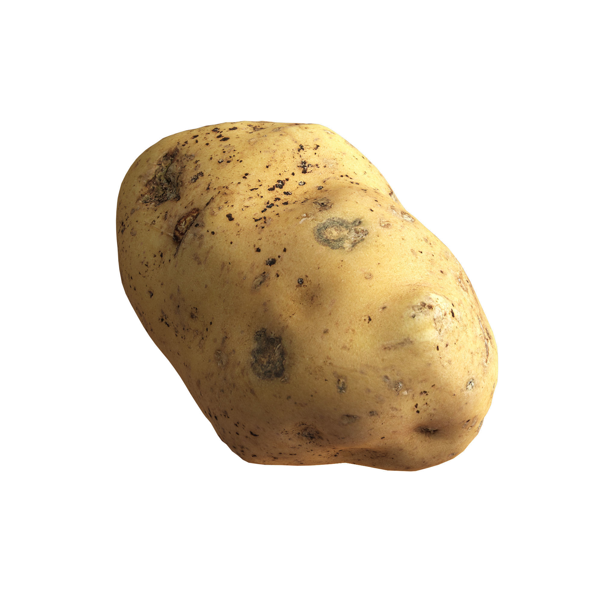 Potato 01 Low-poly 3D model_1