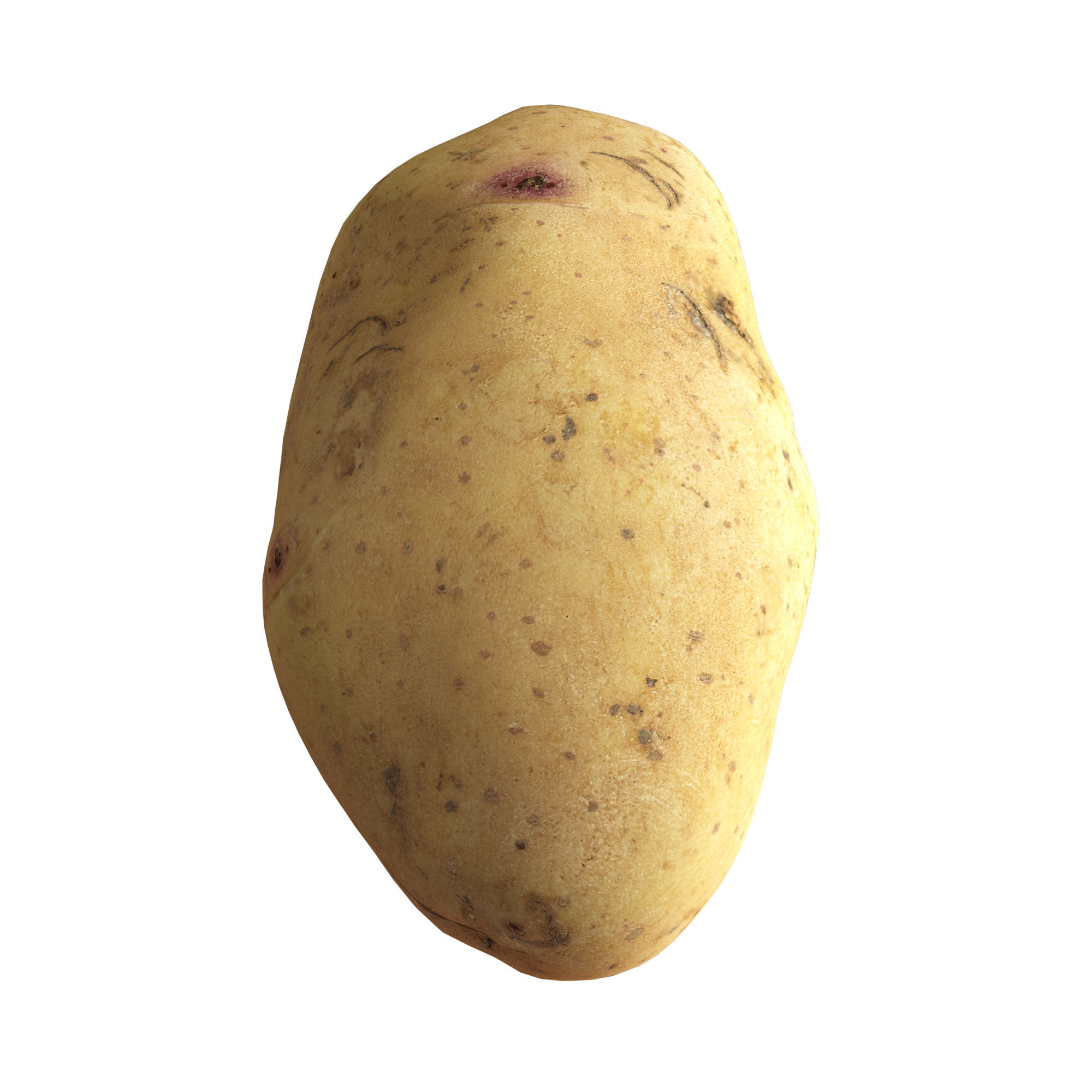 Potato 01 Low-poly 3D model_4