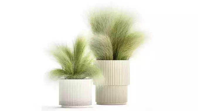 Beautiful Bushes and Stipa Feather Grass flower pot for decor