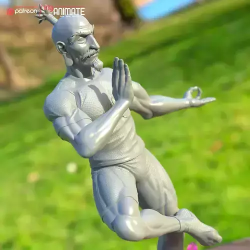 Netero from HunterxHunter - myAnimate 3D print model