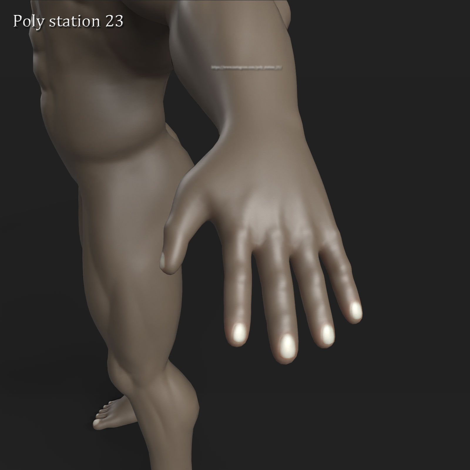 stylized cartoon male body base mesh v1 3D model_18