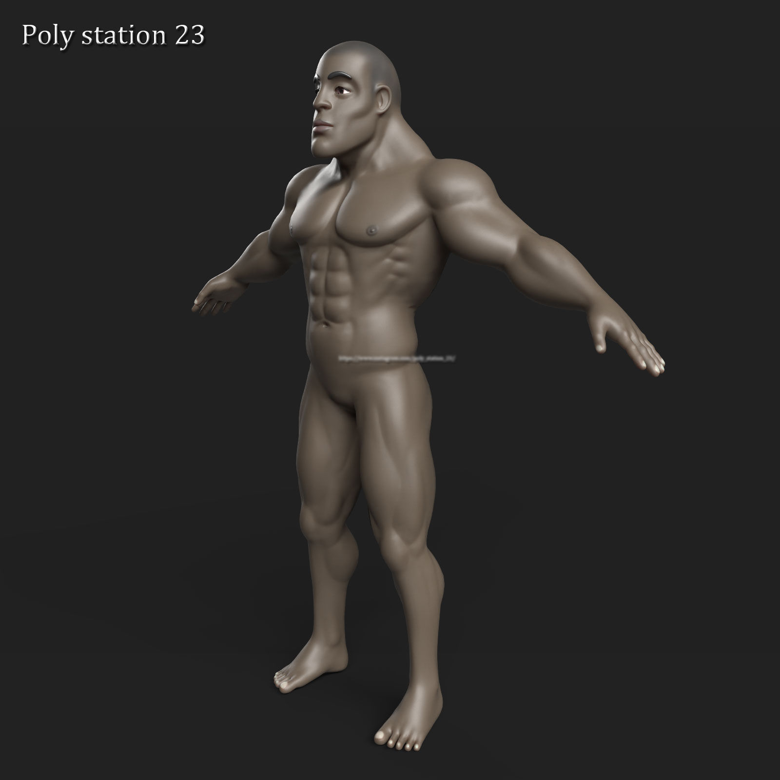 stylized cartoon male body base mesh v1 3D model_4