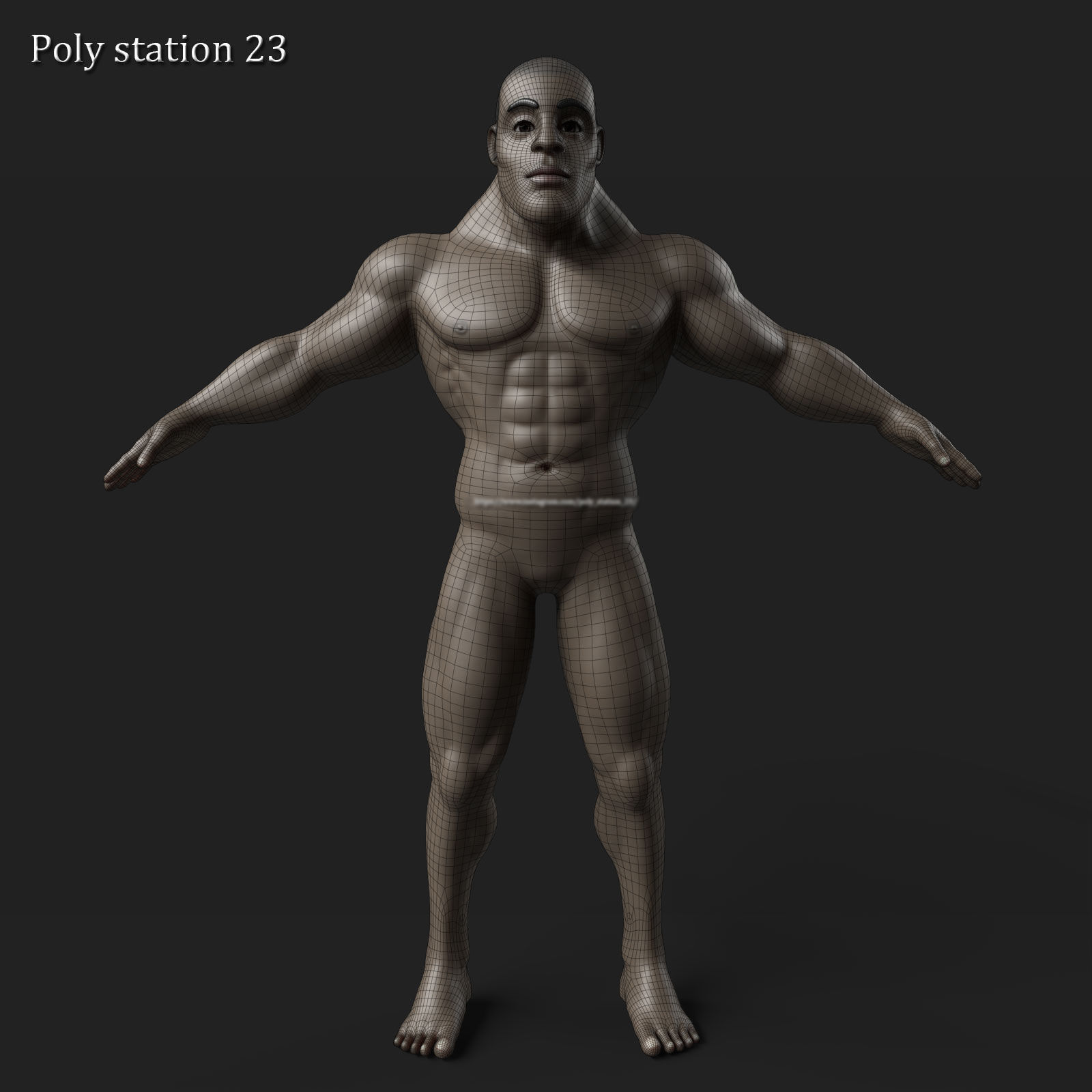 stylized cartoon male body base mesh v1 3D model_3
