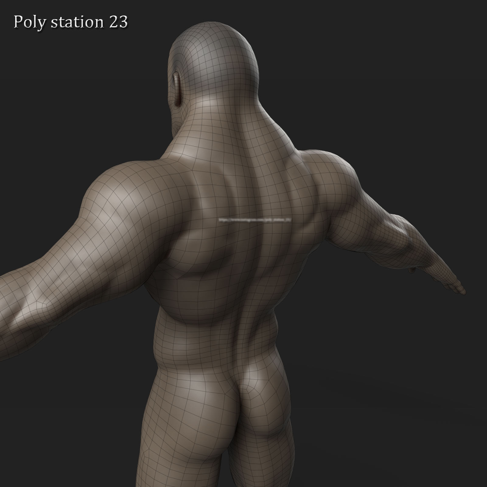 stylized cartoon male body base mesh v1 3D model_17