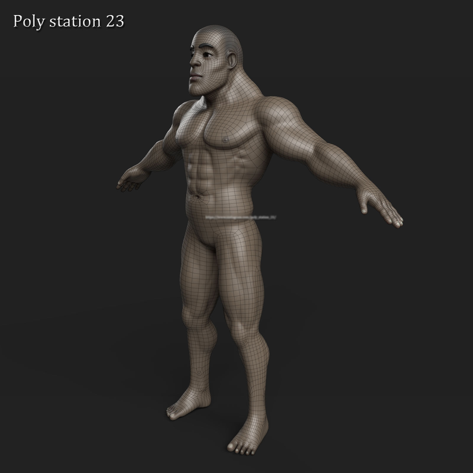 stylized cartoon male body base mesh v1 3D model_5