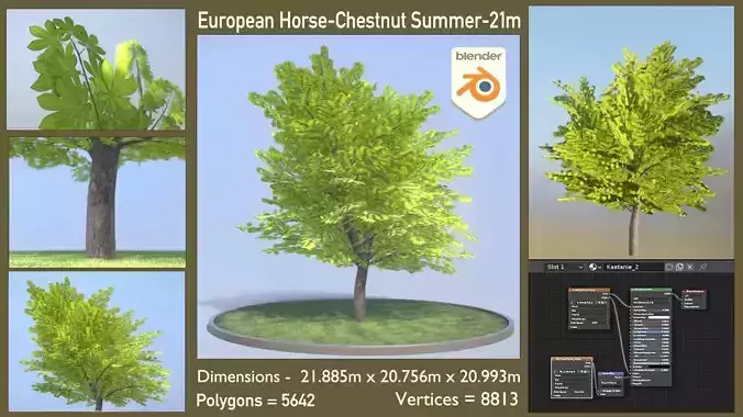 European Horse Chestnut Summer 21m  Low-poly 3D model
