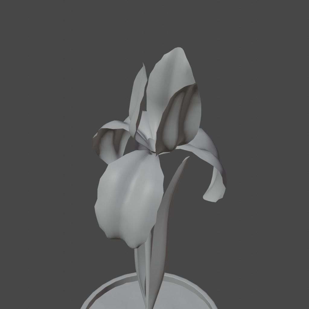 Flower in vase Iris Low-poly 3D model_10