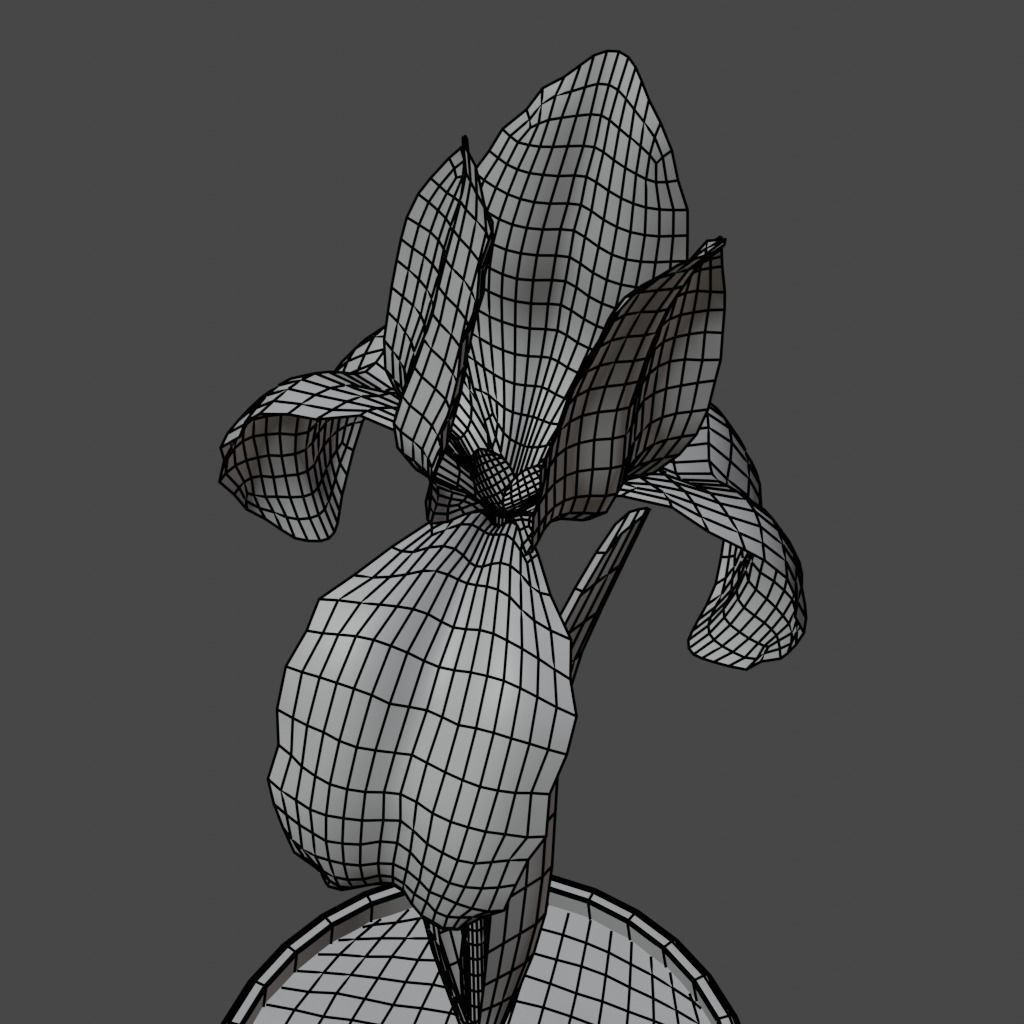 Flower in vase Iris Low-poly 3D model_6
