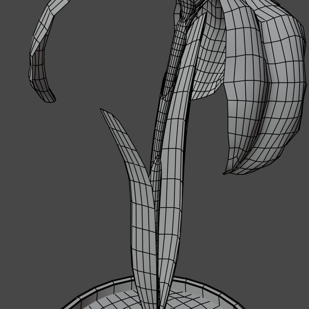 Flower in vase Iris Low-poly 3D model_8