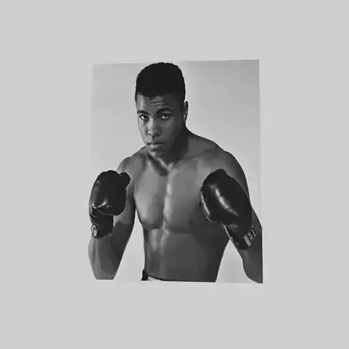 Muhammad Ali portrait  Low-poly 3D model