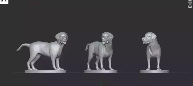 DOG SOLID MODEL