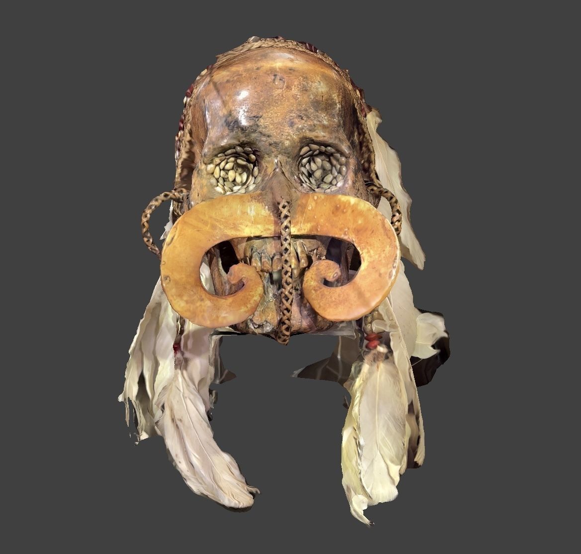 Ancestor Skull 3D model_1