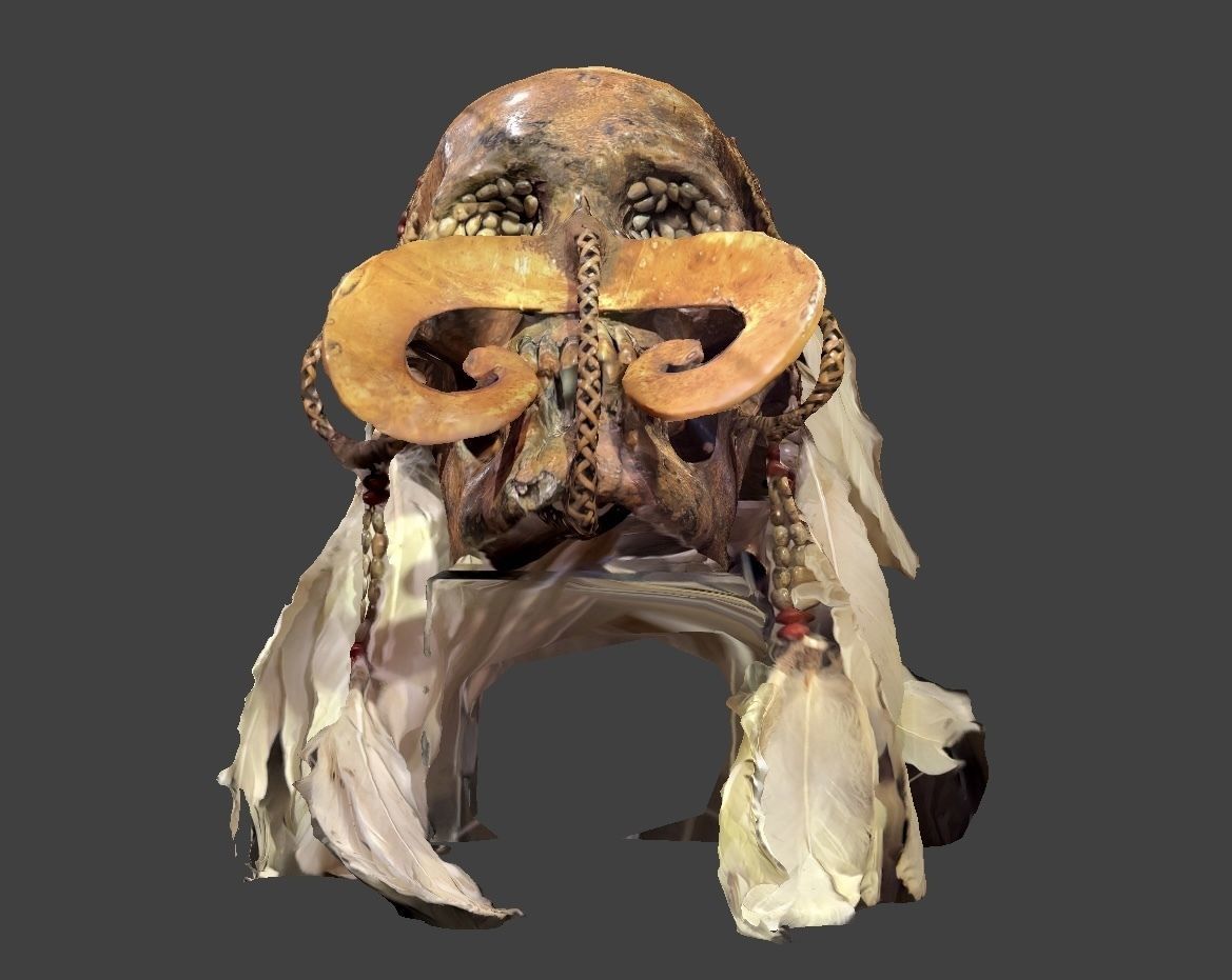 Ancestor Skull 3D model_4