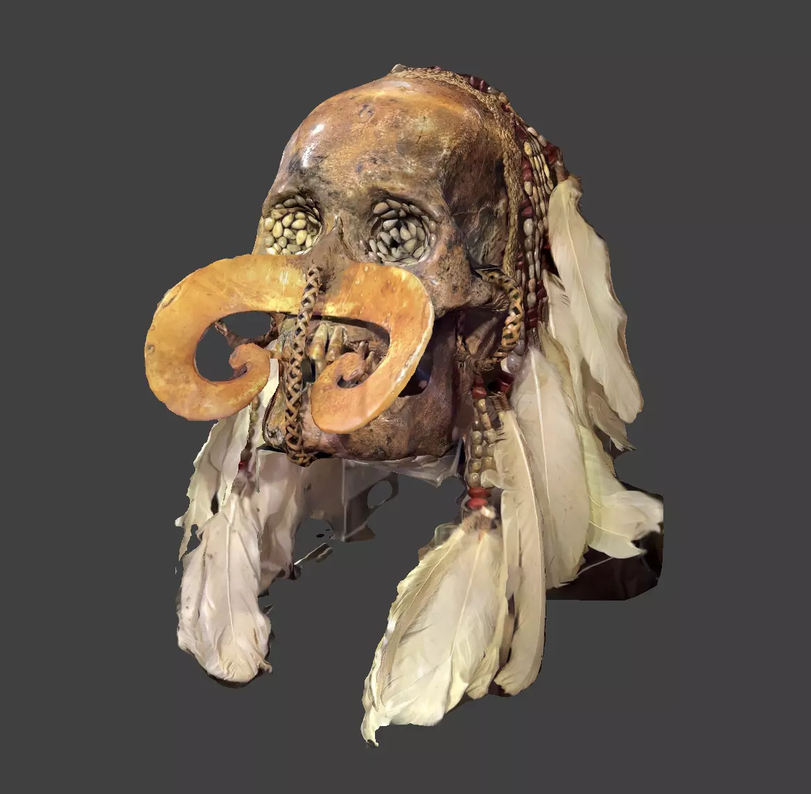 Ancestor Skull 3D model_0