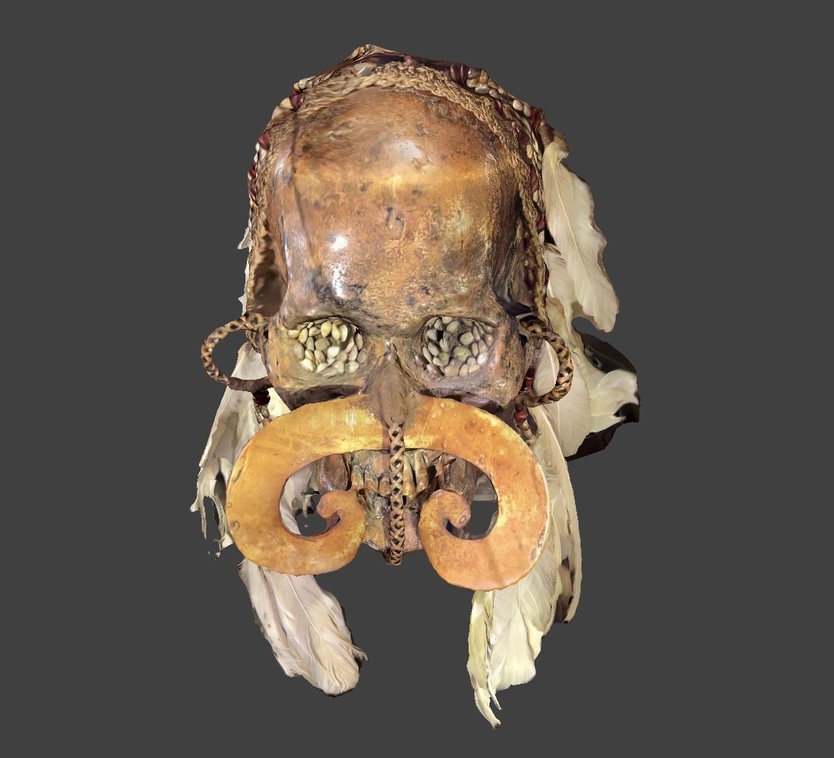 Ancestor Skull 3D model_3