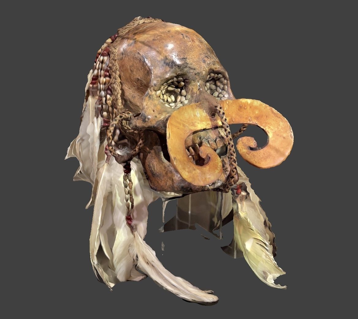 Ancestor Skull 3D model_2